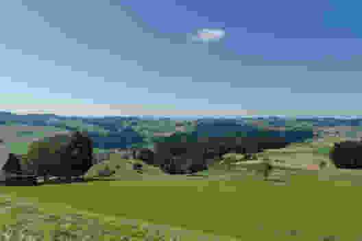 L'escursione conduce attraverso il tipico paesaggio collinare dell'Emmental..