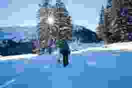 Die verschneiten Bäume geben der Winterwanderung eine skandinavische Note.