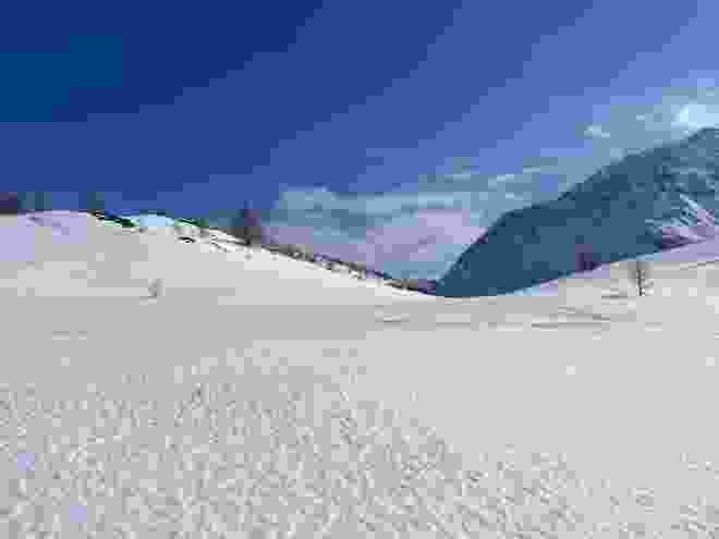 Wind hat den Schnee verblasen.