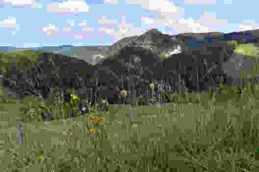 Aussichtspunkt auf der Anhöhe des Col des Rangiers bei Les Malettes. 