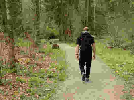 Der Weg führt durch den Auenwald.