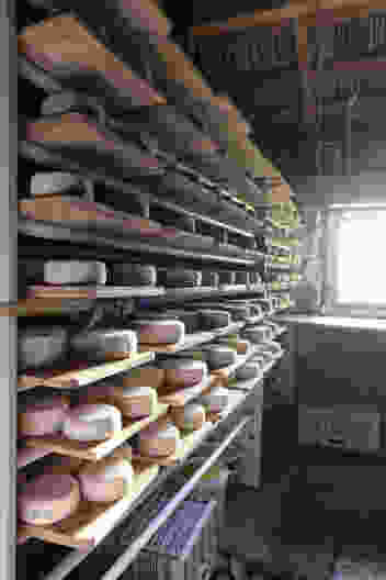 Er produziert mit der Ziegenmilch ausgezeichneten Käse. Bild: Elsbeth Flüeler