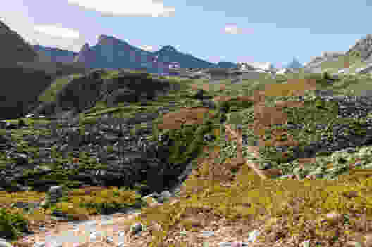 Le plateau séparant l’Hôtel Weisshorn et le Toûno est tapissé d’une végétation luxuriante.