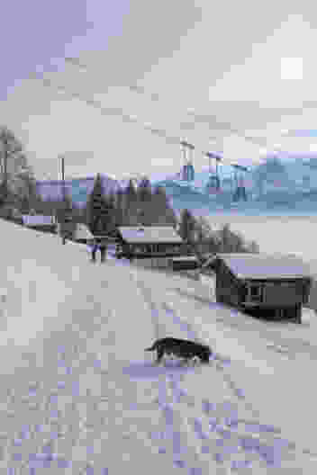 Bei Dellacher quert die Niederhornbahn den Winterwanderweg. Bild: Elsbeth Flüeler