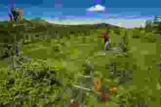 Moorgebiet Unter Sewenschwand, unterhalb der Trogenegg.