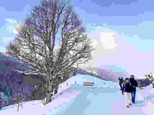 Der Winterwanderweg verläuft auf einer breiten, präparierten Strasse. Bild: Thomas Gloor