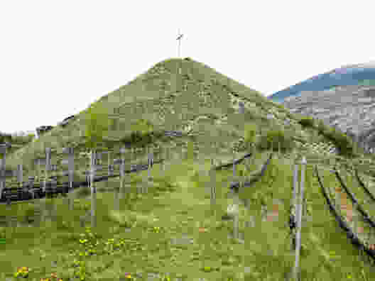 In den Weinbergen um den Chrizhubil. Bild: Ulrike Marx