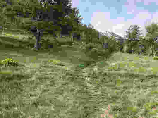 Floraison dans la vallée de Tourtemagne