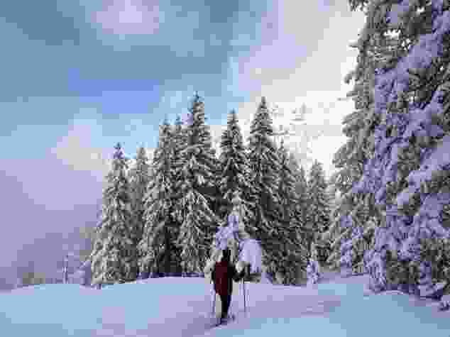 Die Schneeschuhwanderung führt durch frischen Neuschnee und verschneite Tannenwälder.