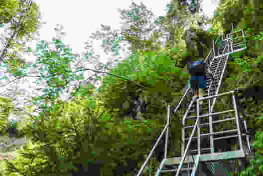 Die steilsten Stellen sind mit Leitern und Brücken gesichert. Bild: Mia Hofmann