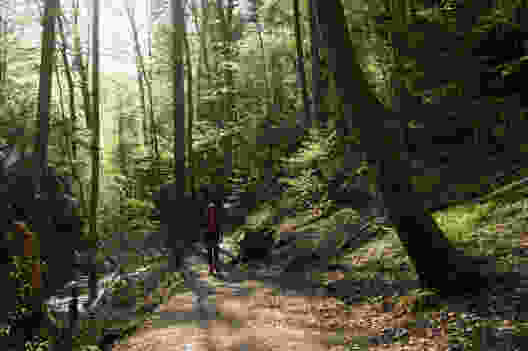 Le long du Mühlitobelbach peu avant Frauenfeld. Photo: Raja Läubli