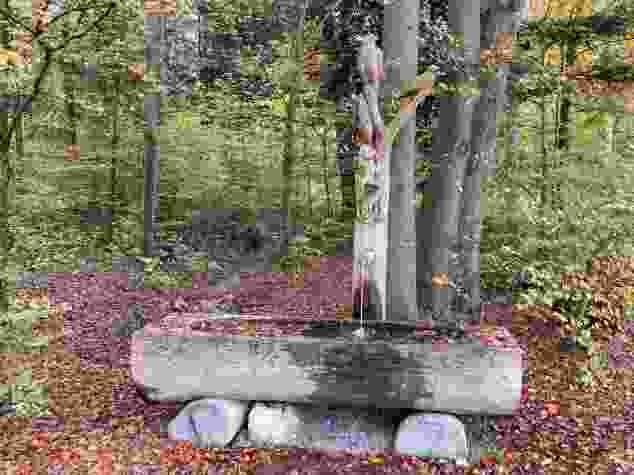 Brunnen im Wald bei Gockhausen