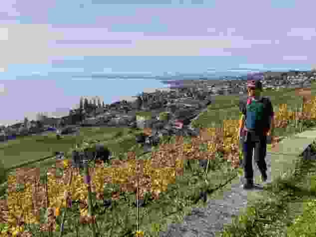 Die Wanderung durch die Reben verläuft fast durchgehend auf Hartbelag.