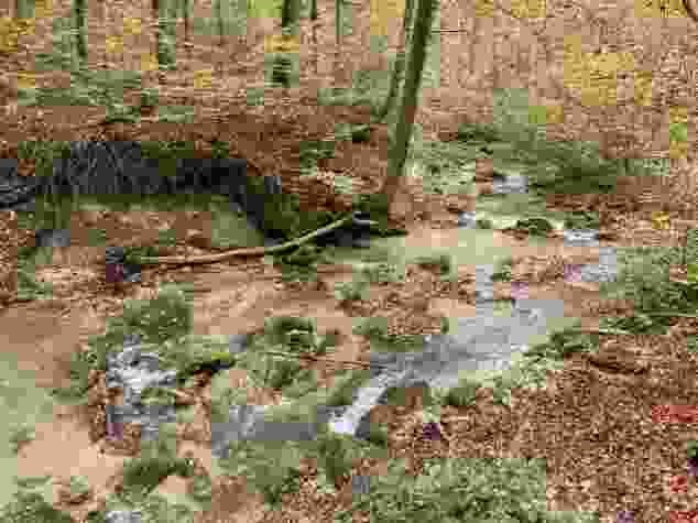 Am Wehrenbach