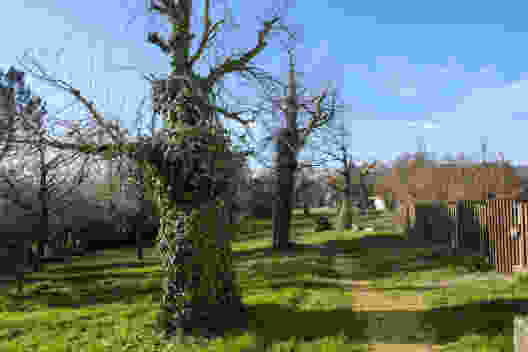 In Wenslingen führt der Weg mitten durch das Dorf und seine Obstgärten. Bild: Elsbeth Flüeler