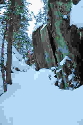 Der Schneeschuhtrail führt durch einen Bergsturzwald. Bild: Elsbeth Flüeler