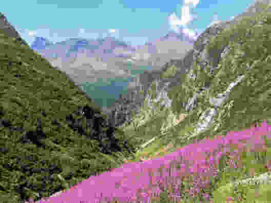 Près de l’alpage d’Alögna, le paysage rappelle les montagnes Rocheuses. Photo: Alexandra Blatter