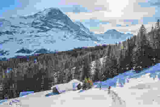 Sonne, Schnee und der Eiger, die wichtigsten Zutaten zu diesem Schneeschuhtrail. Bild: Fredy Joss