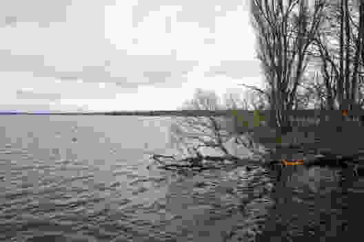 Zudem sind beim Aaspitz auf dem Wasser viele Enten zu beobachten. Bild: Daniel Fleuti