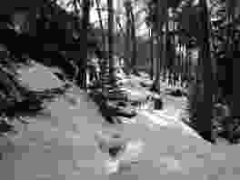 Malerisch zieht sich die Suone durch den Wald. Der Wanderer braucht ihr nur zu folgen. Bilder: Patricia Michaud
