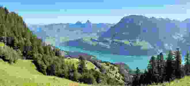 Au-dessus du pâturage, avec vue sur les Mythen, le lac d’Uri et le Fronalpstock