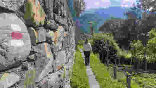 De la gare d’Intragna, le chemin descend vers la rivière à travers des vignobles. Photo: Tatjana Häuselmann