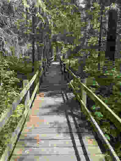 Une passerelle en bois permet de découvrir le paysage marécageux protégé de La Sagne. Photo: Lukas Frehner