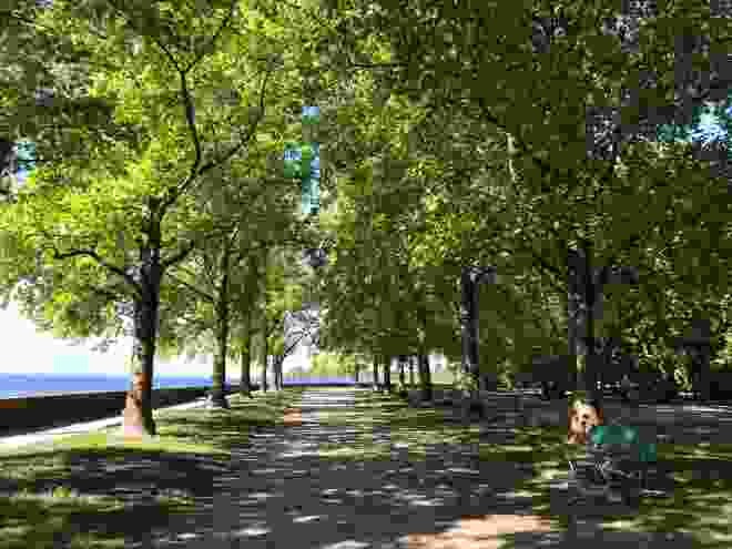 Leuchtendes Grün über einem, sattes Blau neben einem – die Uferpromenade in Morges