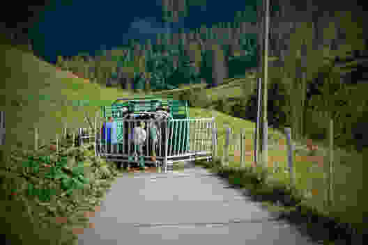Greyerzer Bauern zwängen auf dem Petit Mont das Vieh in den Laster: Das Alpabenteuer ist für die Kühe vorbei.