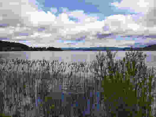 Au bord du lac de Zoug, peu avant Itelfingen. Photo: Marina Bolzli