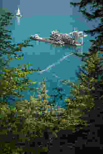 Von der Risletenschlucht aus ist der Bagger im Vierwaldstättersee gut zu sehen. Bild: Severin Nowacki