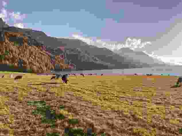 Am anderen Ende des Silvaplanersees liegt Sils.