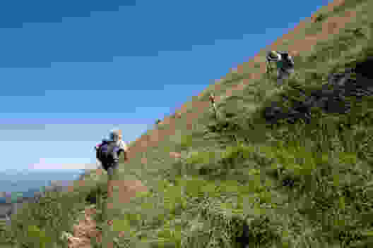 Montée au sommet. Photo: Markus Ruff