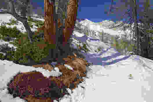 Noch wenige Kurven, und man ist oben. Bild: natur-welten.ch