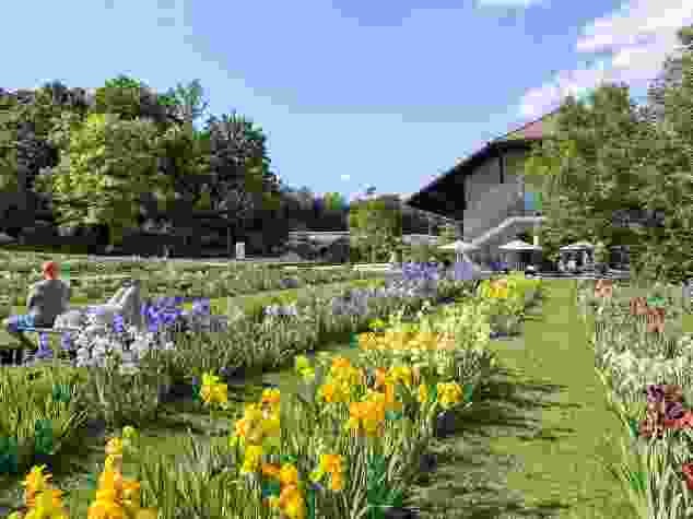 I Giardini Merian: una variopinta distesa di iris in fiore.
