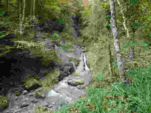 La Paudèze im Bois de la Chenaula