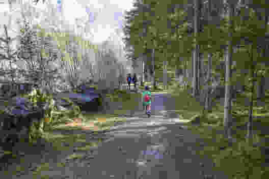 Idyllisch: Moosbedeckte Steine säumen den Weg. Bild: Kim Bütikofer