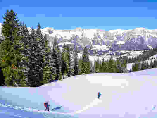 Abstieg durch den Pulverschnee Richtung Schönenbode. Bild: Sabine Joss