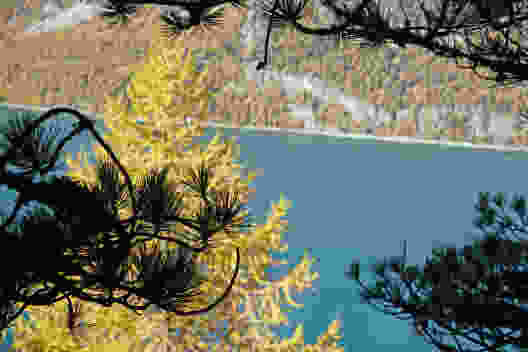 Grüne Arven, gelbe Lärchen, blauer Silvaplanersee. Bild: Mia Hofmann
