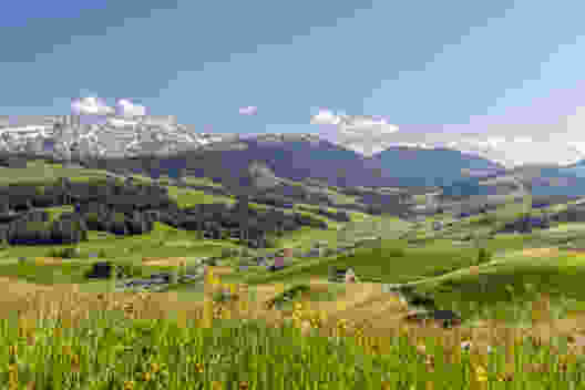Blick von der Chuterenegg auf den Alpstein. Bild: appenzell.ch