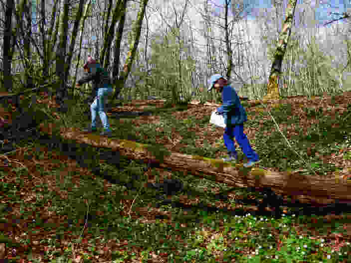 Balancieren auf einem umgestürzten Baum in einer Doline. Bild: Rémy Kappeler