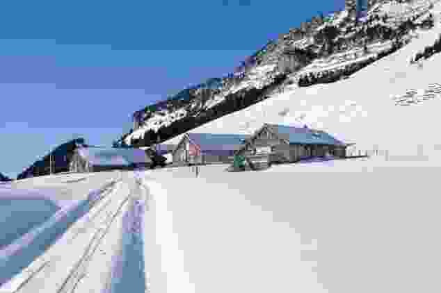 Strichbode: der höchste Punkt der Schneeschuhwanderung ist hier erreicht.