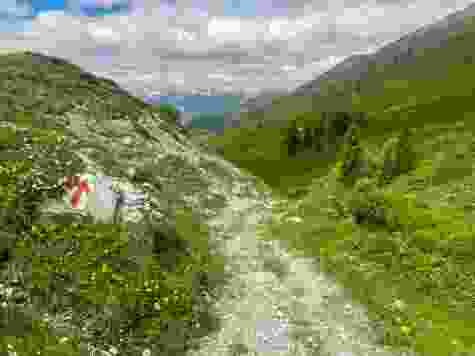 Le chemin descend dans la vallée en longeant le ruisseau Alpbach.