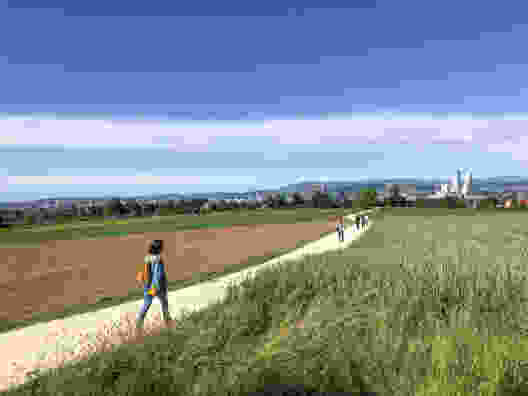 Frühling pur: auf dem Wanderweg über die «Acht Jucharten» nach Basel. Bild: Thomas Gloor