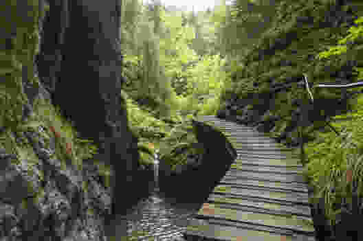 Ganz oben überquert man die Schlucht über einen Steg. Photo: Raja Läubli