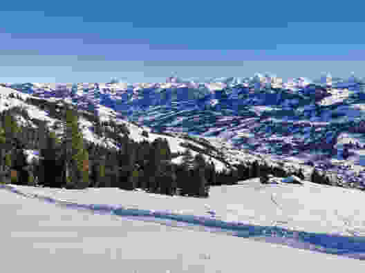 Vue du sommet du Rellerli sur le Saanenland. Photo: Andreas Staeger