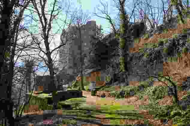 Zwischen den kahlen Bäumen taucht die Burg Homburg auf.