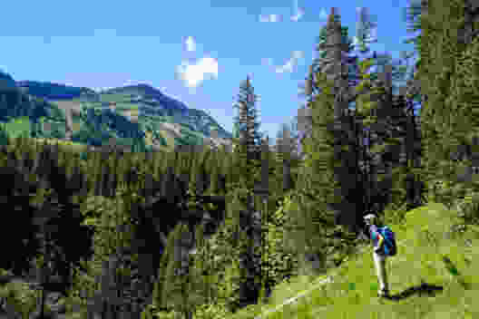 Blick über den Graben der Grossen Entle zum Hohmad. Bild: Fredy Joss