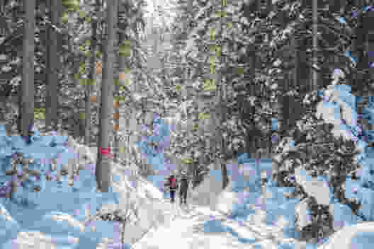 Mildes Licht, blendender Schnee und dunkle Tannen machen den Zauber des Itramenwaldes aus. Bild: Fredy Joss