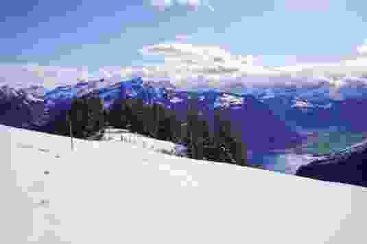 Links geht es durch ein Wäldchen zum Hundschopf, rechts wandert der Blick Richtung Altdorf.